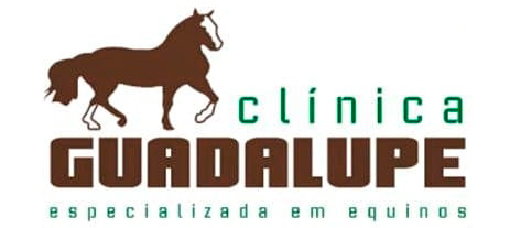Clínica Veterinária Guadalupe