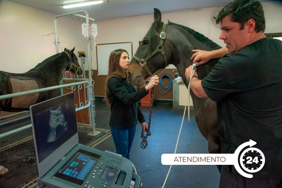 Atendimento 24 Horas