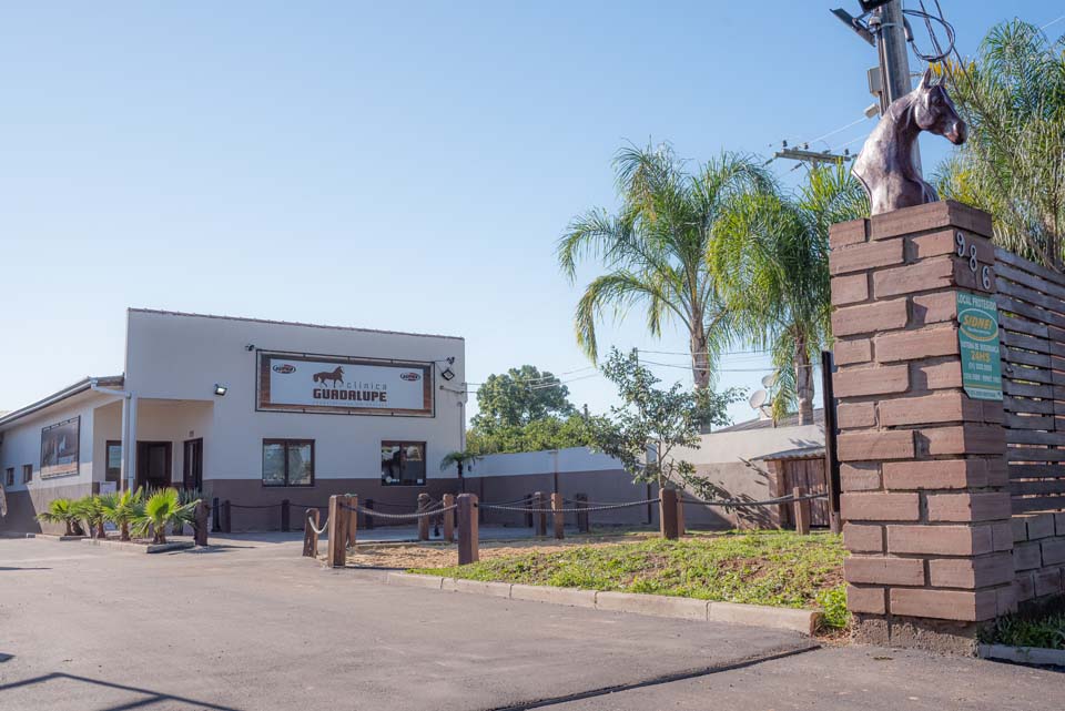 Conheça nossa clínica Clínica Veterinária Guadalupe