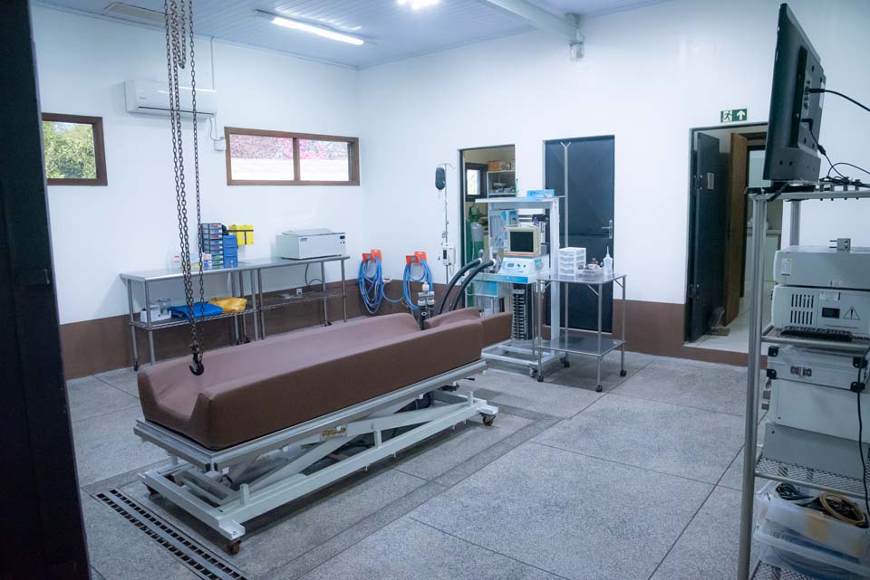 Conheça nossa clínica Clínica Veterinária Guadalupe