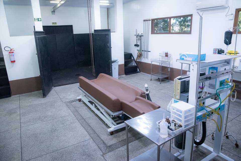 Conheça nossa clínica Clínica Veterinária Guadalupe