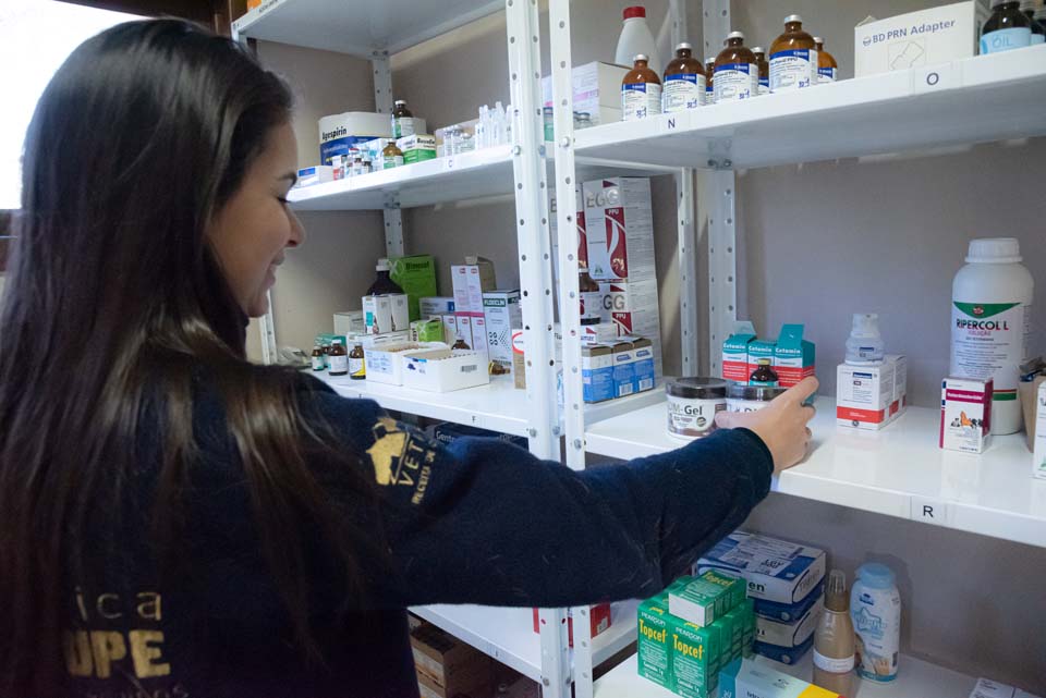 Conheça nossa clínica Clínica Veterinária Guadalupe