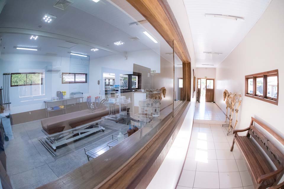 Conheça nossa clínica Clínica Veterinária Guadalupe