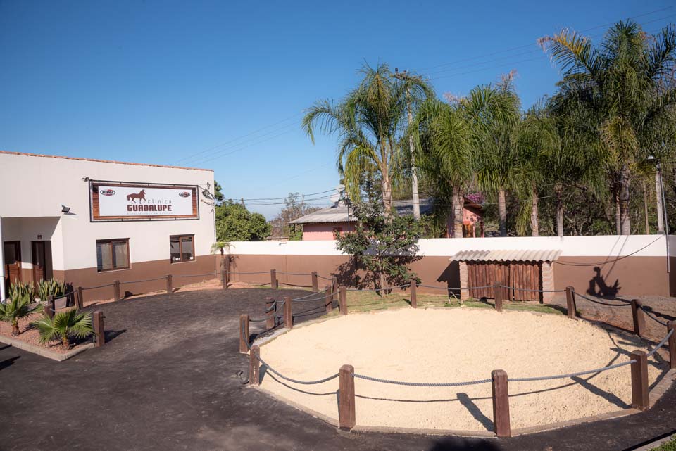 Conheça nossa clínica Clínica Veterinária Guadalupe