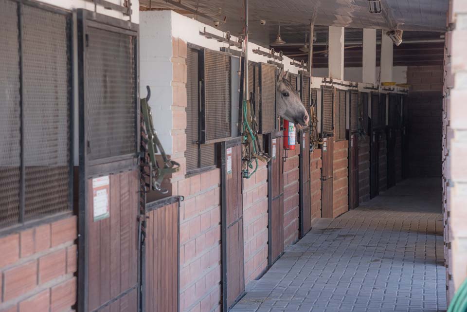 Clínica Veterinária Guadalupe